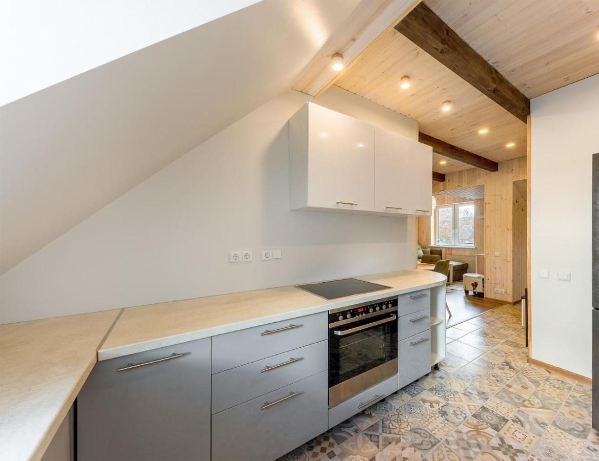 Shanghai Banzai Family Apartment 维尔纽斯 外观 照片